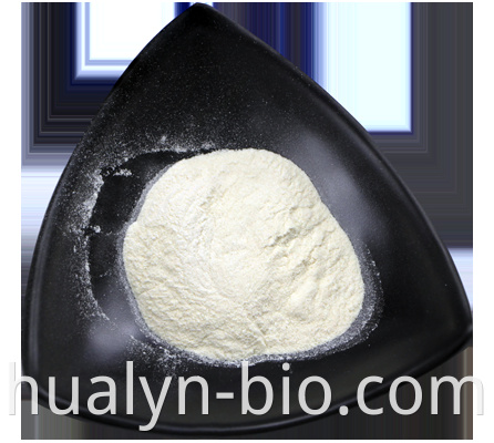 Xanthan gum powder